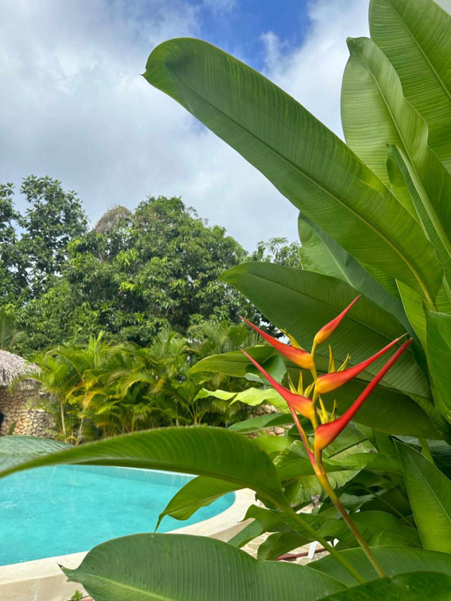 Aparthotel El Rincon De Abi Las Terrenas Exterior foto